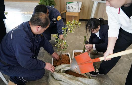 绿动未来，环保同行|BV伟德官方网站植树节盆栽种植活动圆满举行